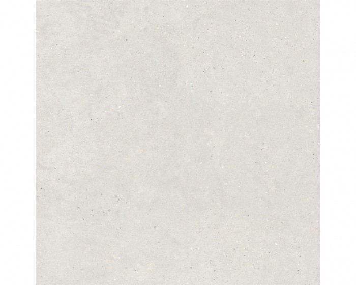 ITALGRANITI SILVER GRAIN 120X120 WHITE 3 - in-domo.si