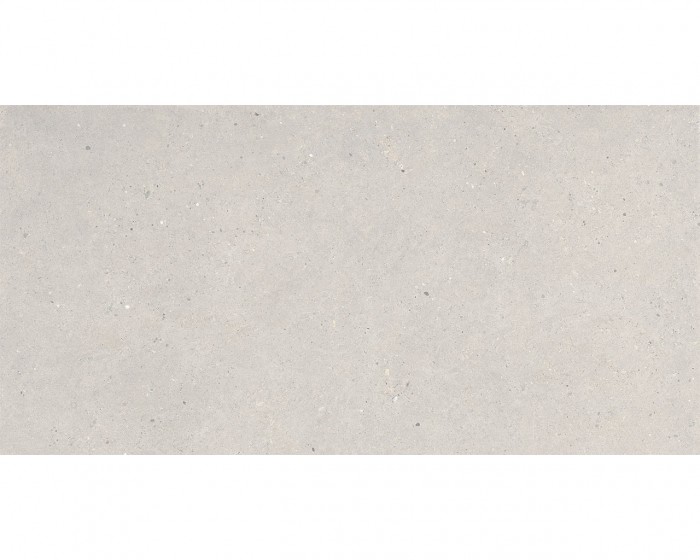 ITALGRANITI SILVER GRAIN 60X120 GREY 3 - in-domo.si