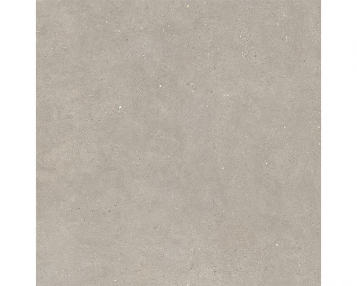 ITALGRANITI SILVER GRAIN 60X60 TAUPE 3 - in-domo.si